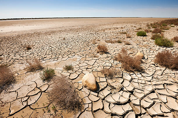 Día Mundial de la Desertificación y la Sequía